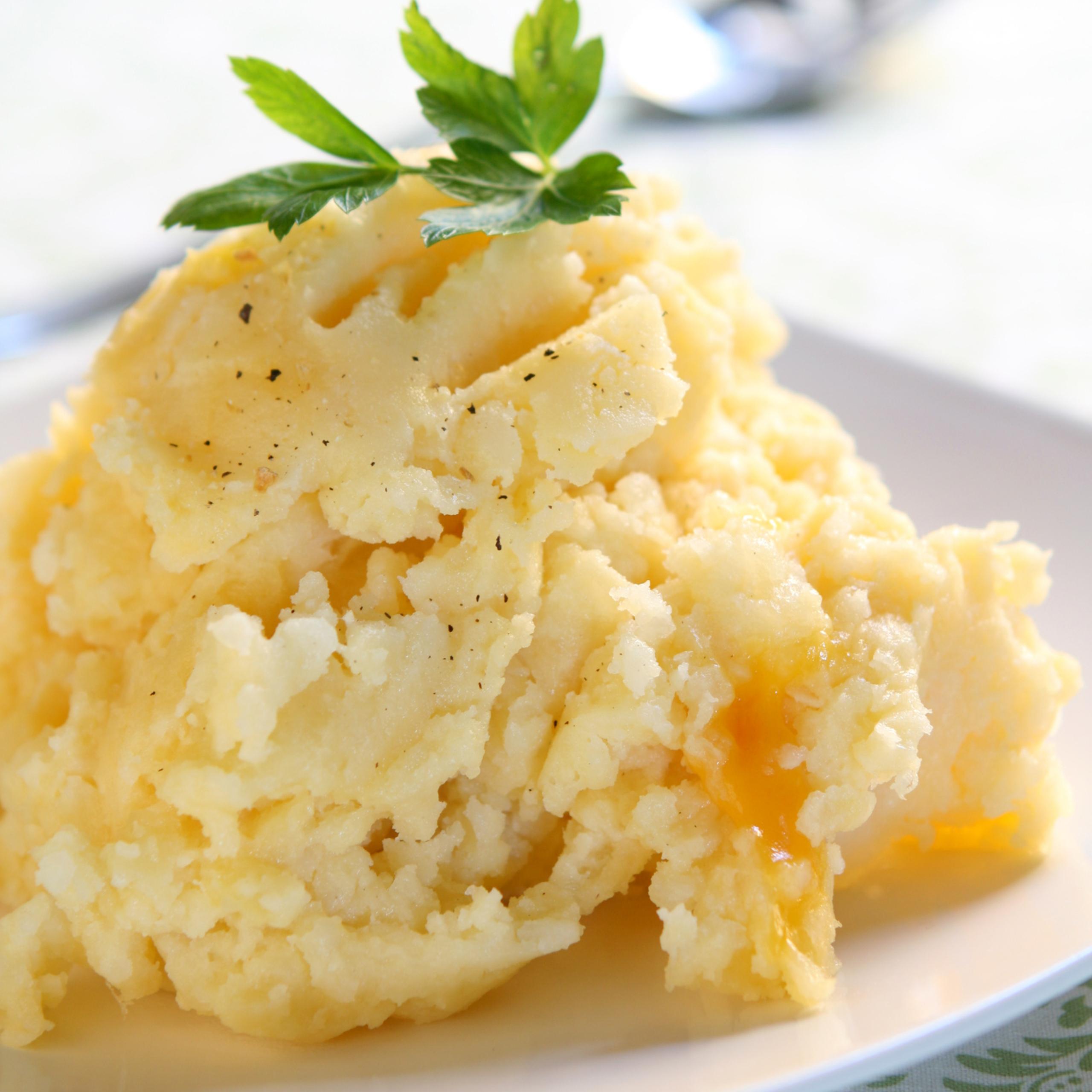 Garlic Cream Cheese Red Baby Mashed Potato